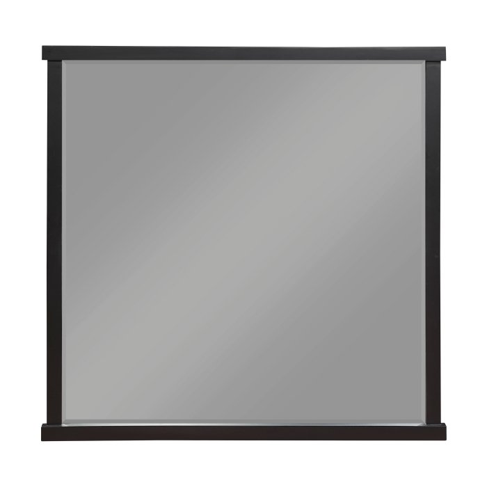 1343-6 Mirror