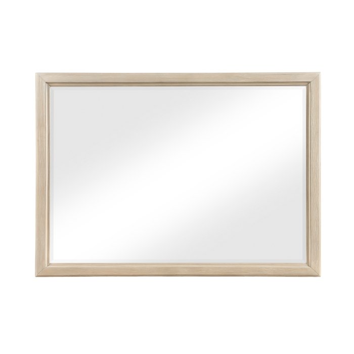 1730NB-6 Mirror