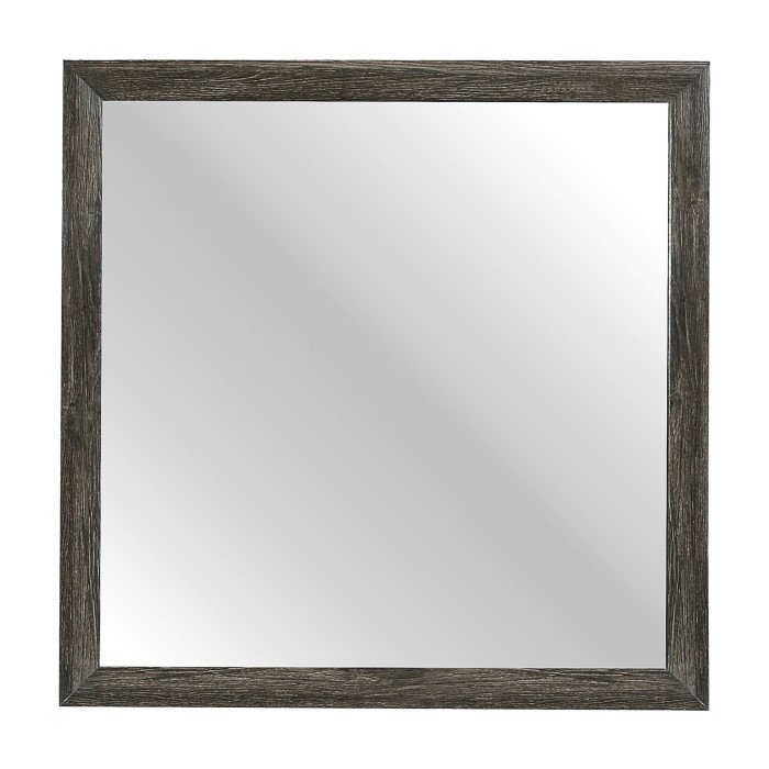2145NP-6 Mirror
