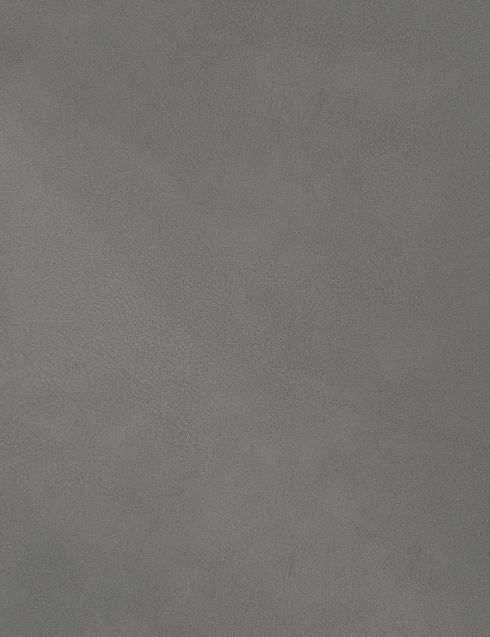 Hudson Vegan Leather Upholstered Twin Trundle Bed - Image 8