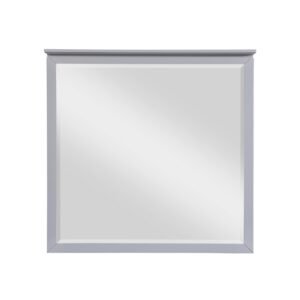 B2024GY-6 Mirror