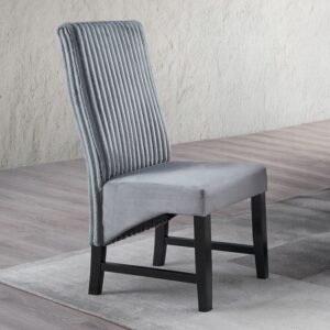 Kini Side Chair (Set-2)